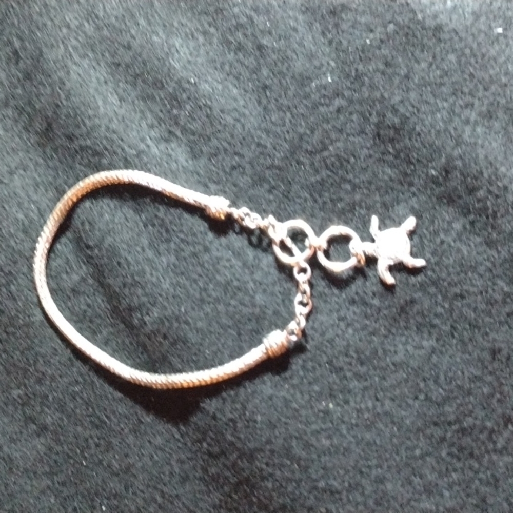 Tulang Naga bracelet from Bali. 7.50 inches in sterling silver with turtle charm